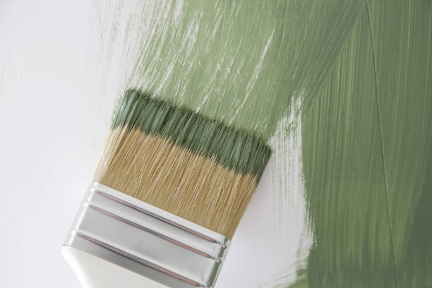 Best Mold Damage Restoration  in Marble Falls, TX