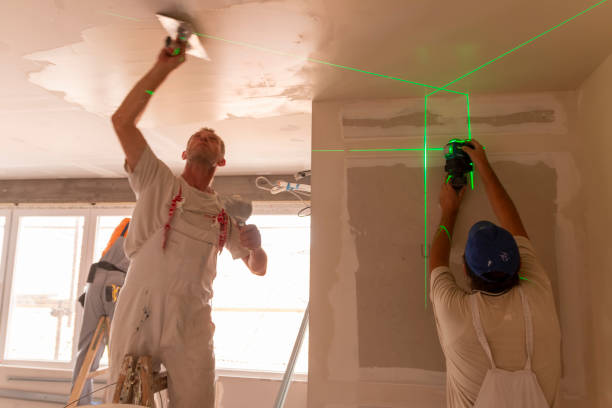 Professional Mold Removal in Marble Falls, TX
