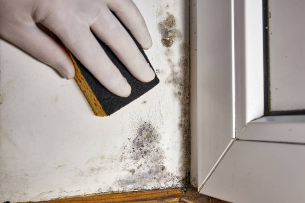 Dehumidification Services in Marble Falls, TX